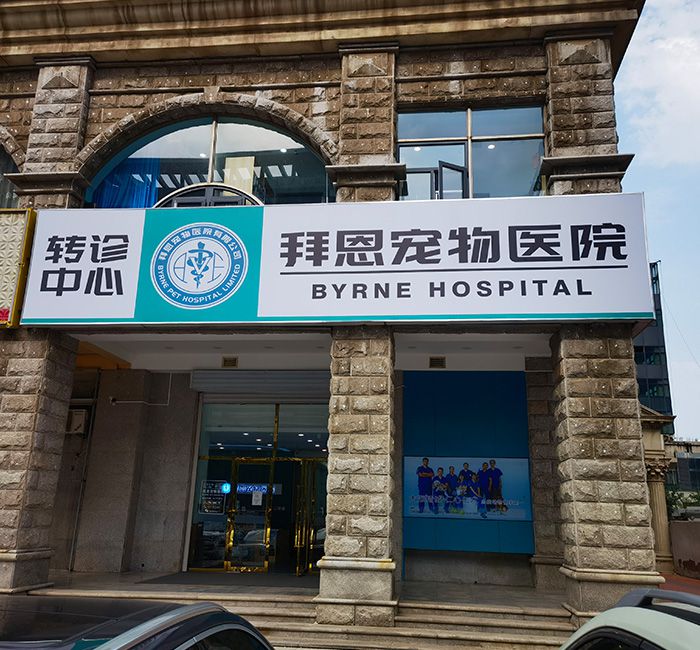 Hospital Byrne