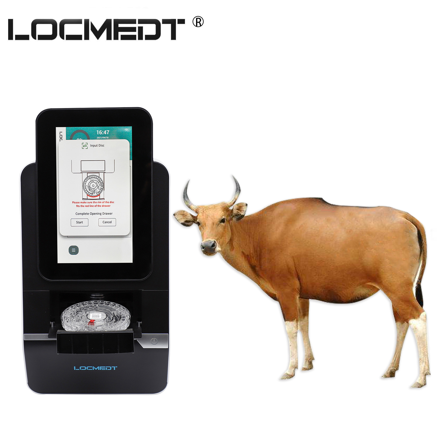 Equipo médico veterinario Noahcali-100 Auto Electrolyte Biochemistry Analyzer